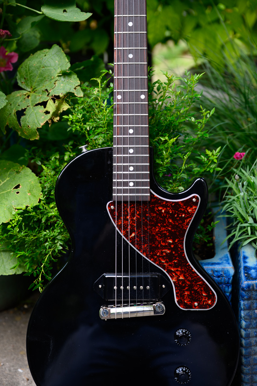 lp junior-3.jpg
