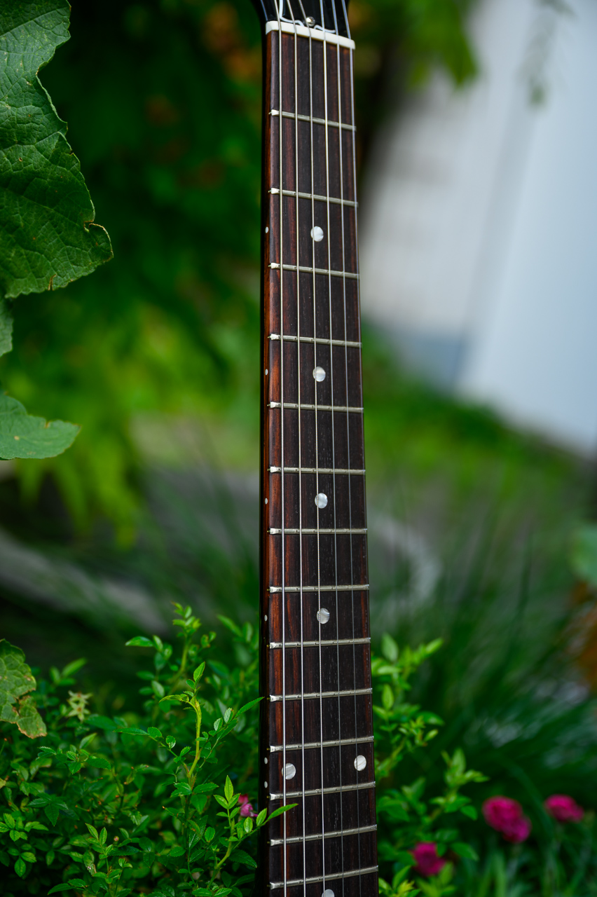 lp junior-4.jpg