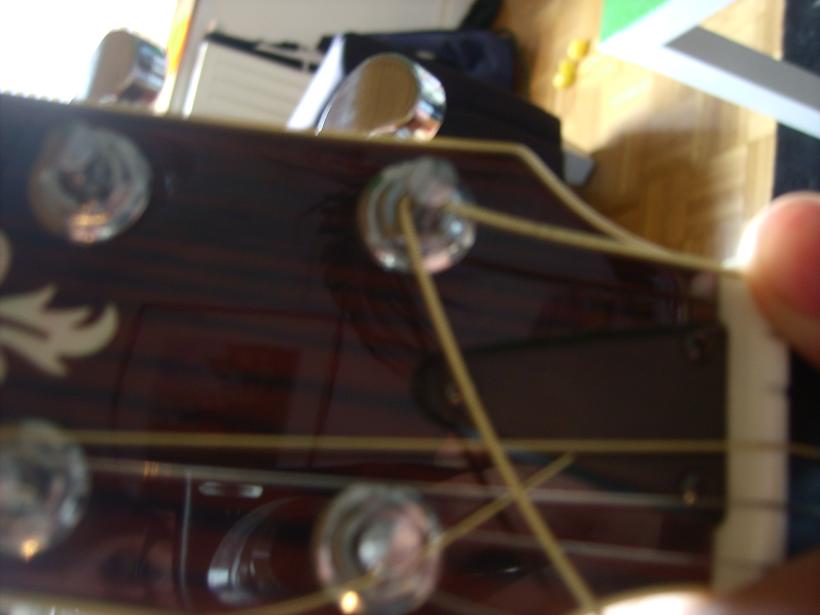 LPIC2508.JPG