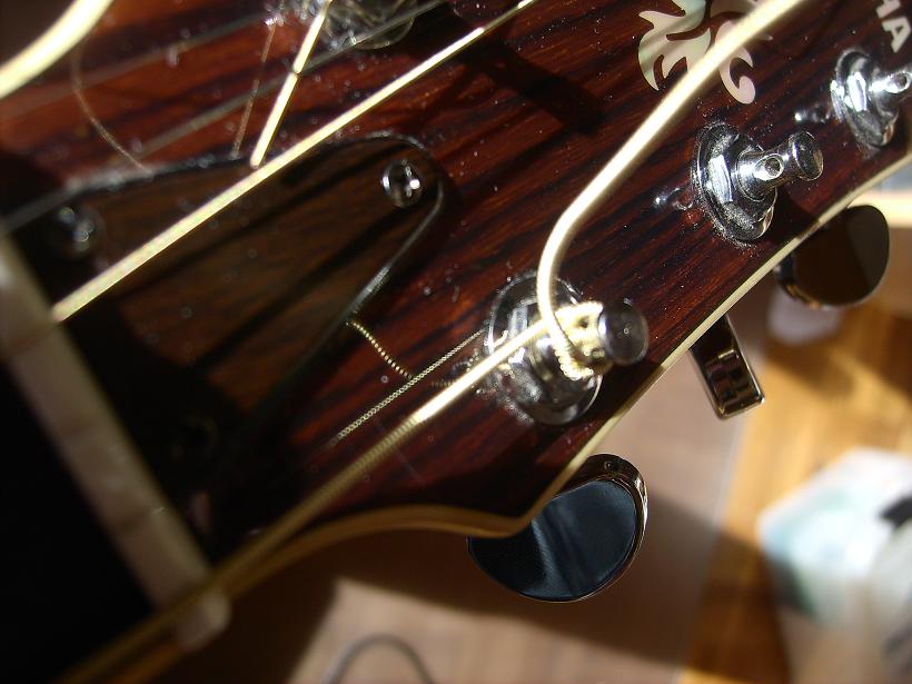 LPIC2516.JPG