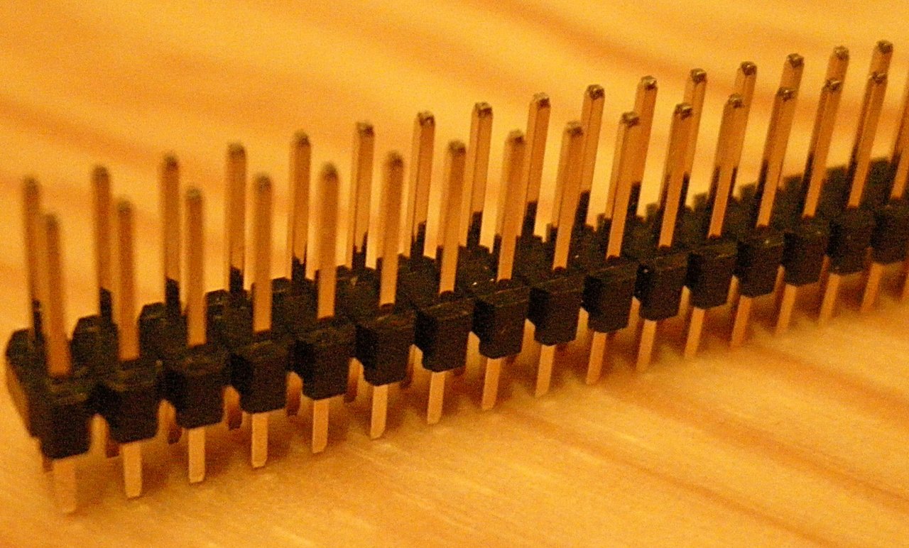 Male1Zoom.jpg