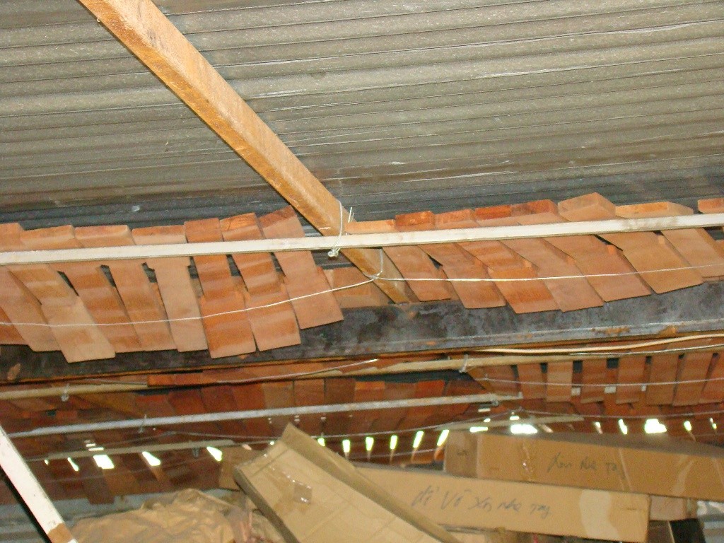 maple_necks_I_think.JPG