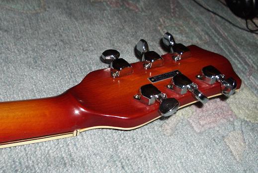 Marma-Volute.JPG