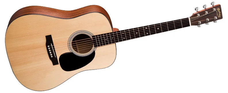 Martin_D-1GT.webp