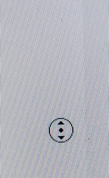 Maus.webp