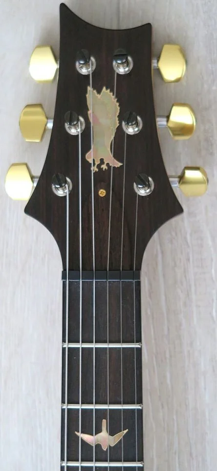 McCarty 245 Headstock.jpg