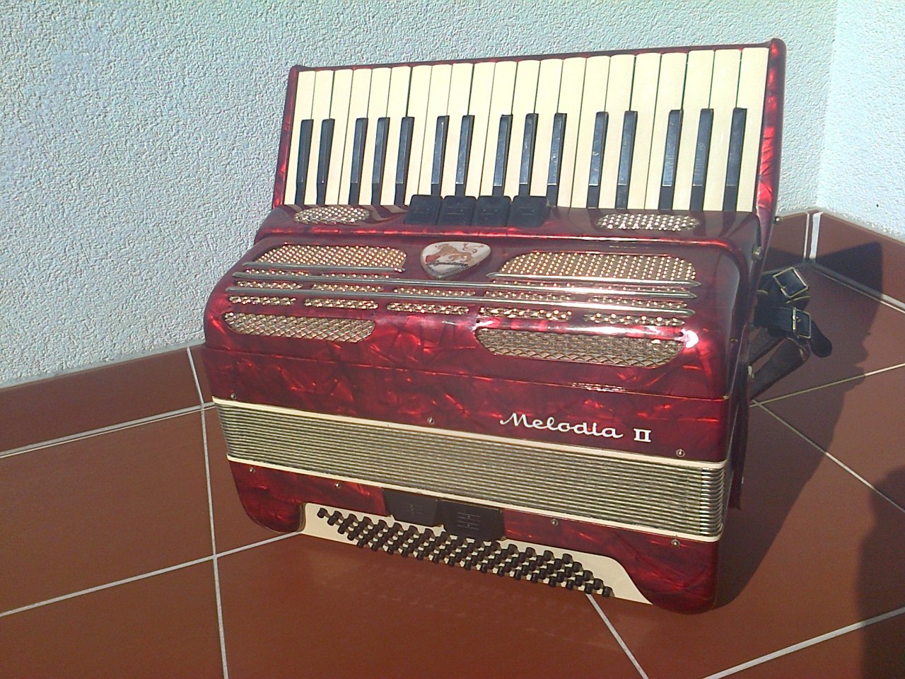 Melodia 3.jpg