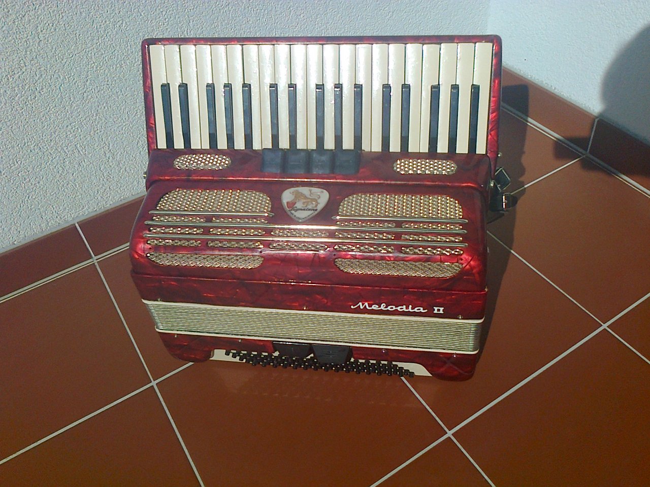 Melodia 4.jpg