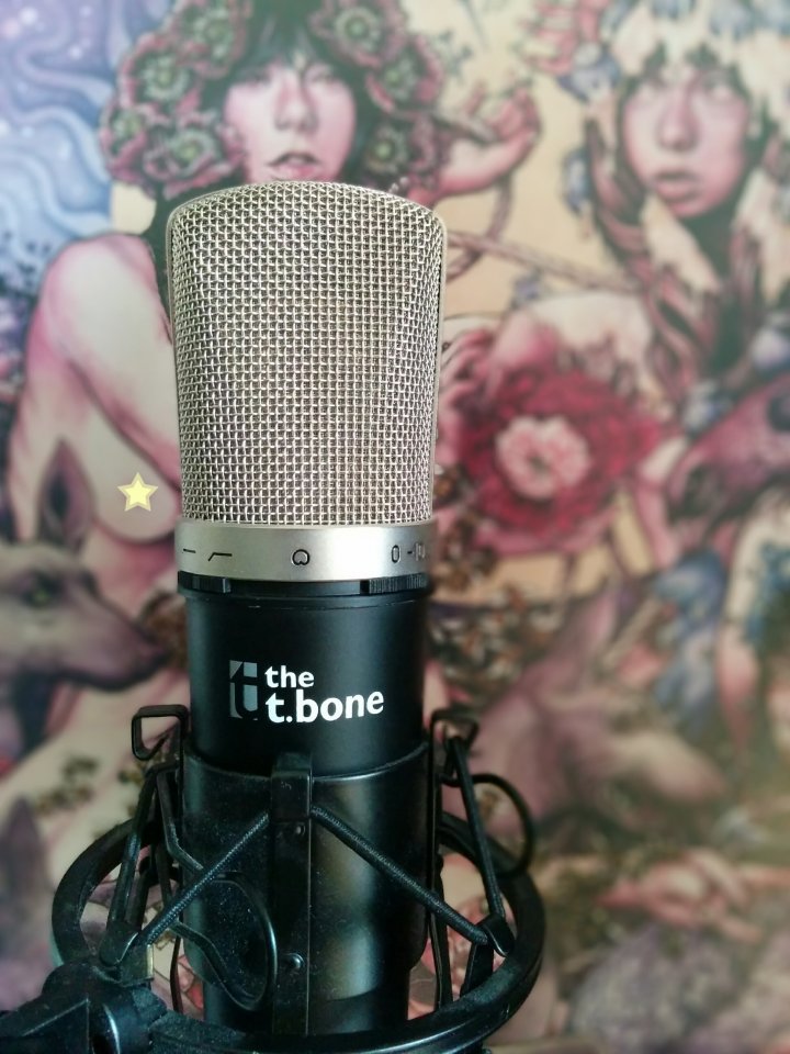 mic.jpg