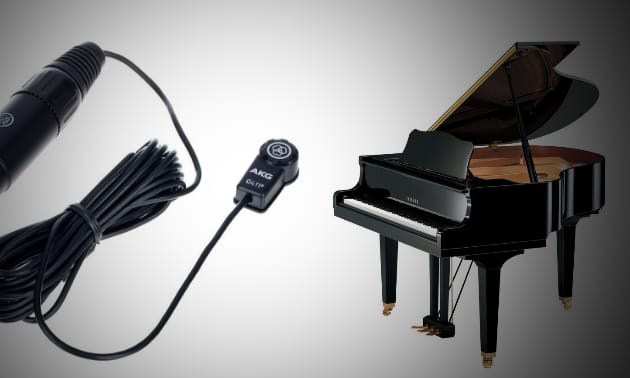 Mic_in_Fluegel.jpg