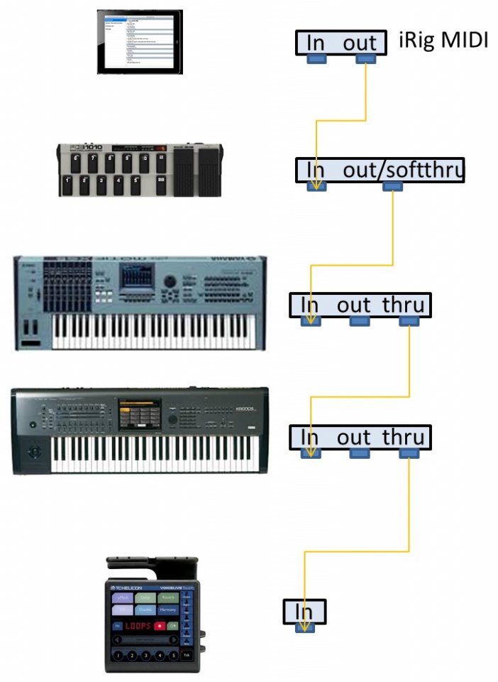 Midikette.jpg