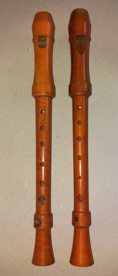 Mollenhauer; Bärenreiter Sopran.jpg