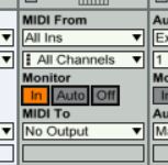 MONITOR-IN.jpg