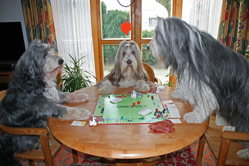 monopoly.jpg