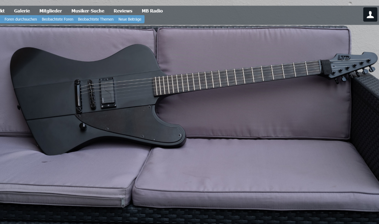 MuBo_Reviews_ESP LTD Phoenix-BlackMet.png