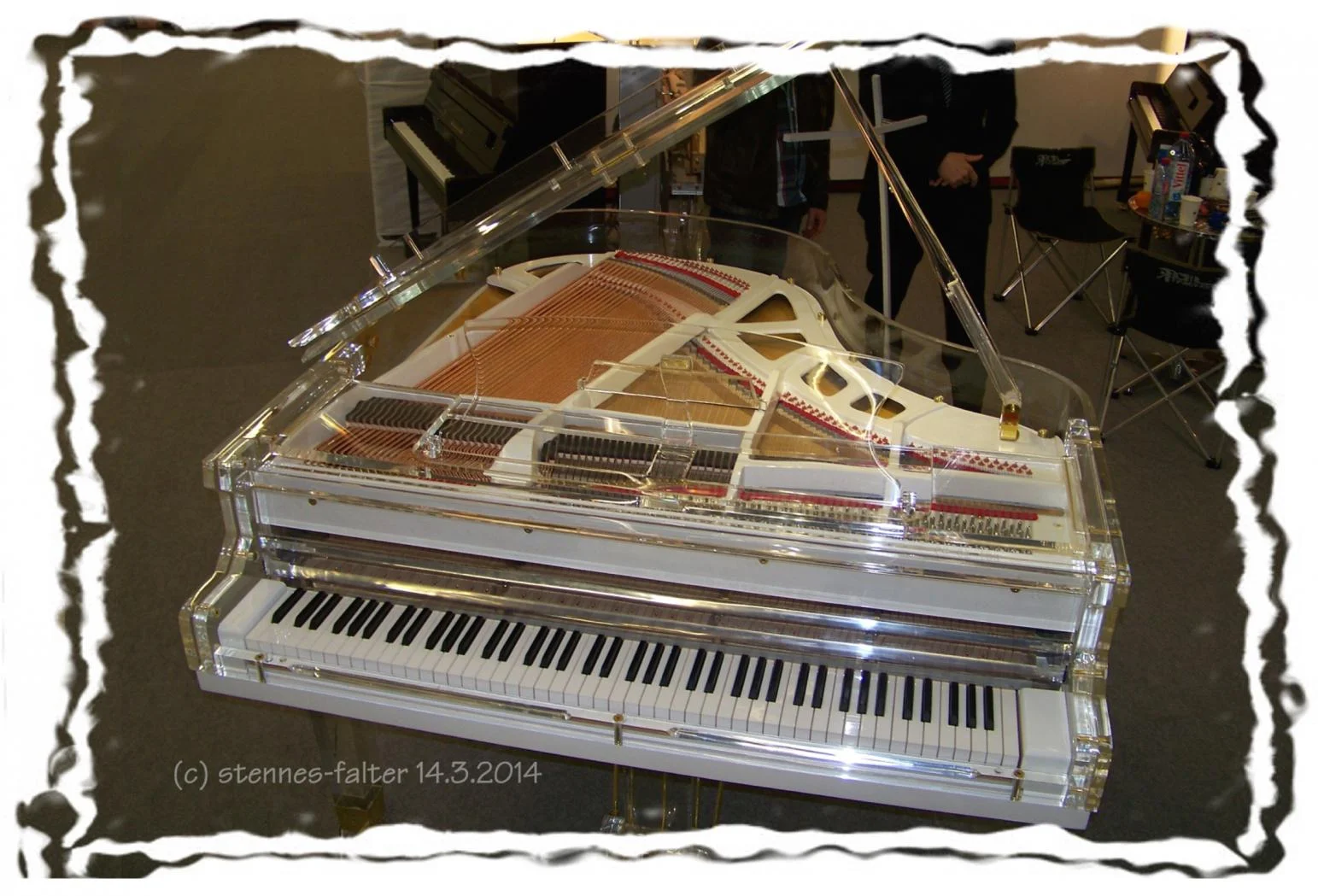 Musikmesse 2014 estfa 100_3667Rr durchsichtiger FlÃ¼gel.webp