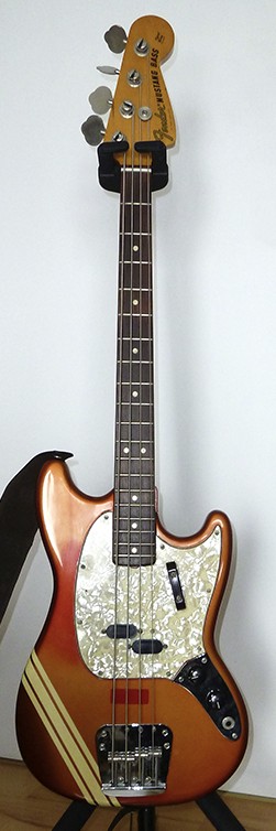 Mustang 1 klein.jpg