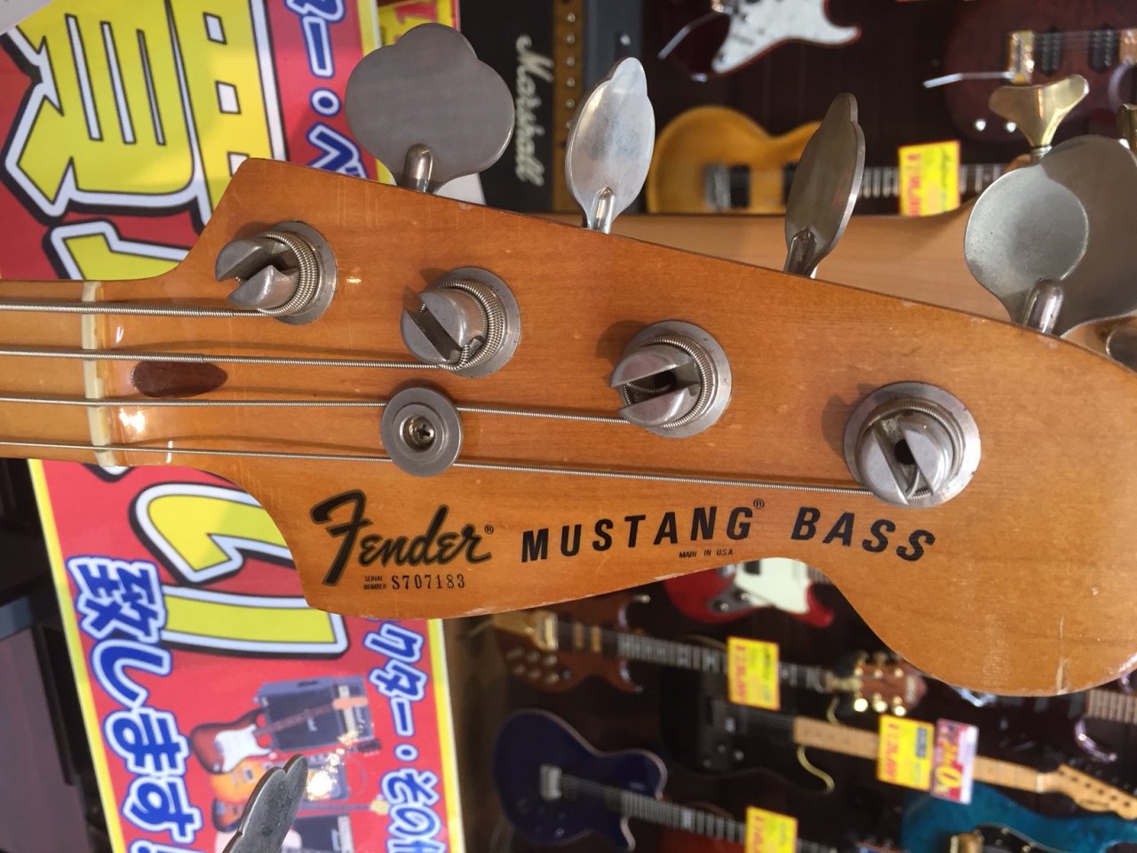 Mustang4.JPG
