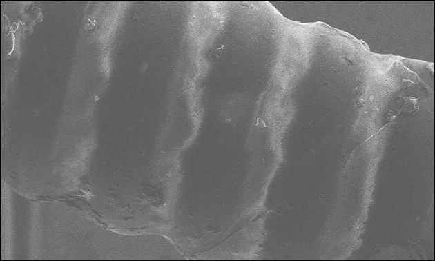 Elixir Nanoweb BassSaiten mit Taperwound | Testspiel-Ergebnis