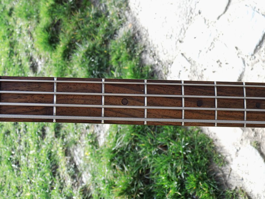 neck.jpg