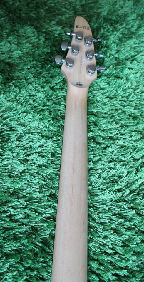 Neck_Back_1.jpg