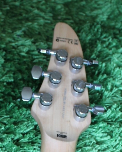 Neck_Back_2.jpg