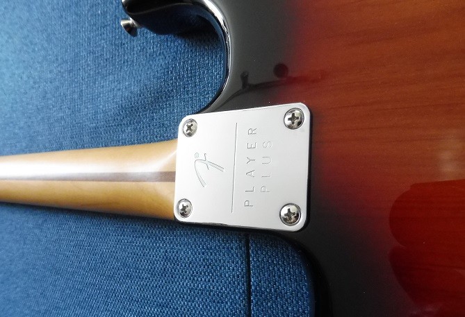 Neckplate.jpg