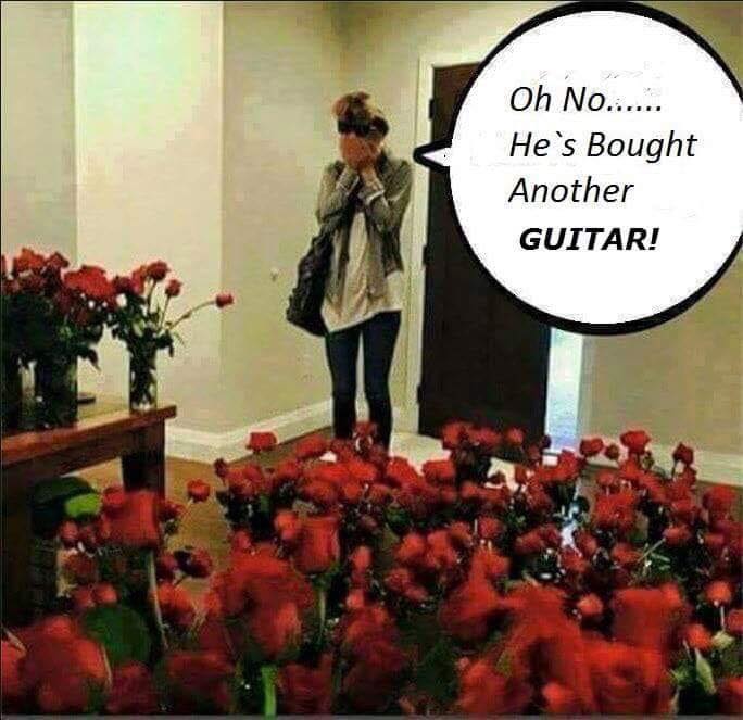 no-not another guitar.jpg
