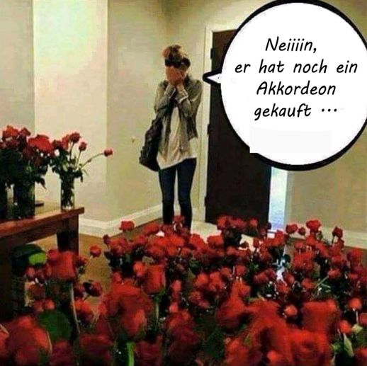 noch_ein_Akkordeon_kl.jpg