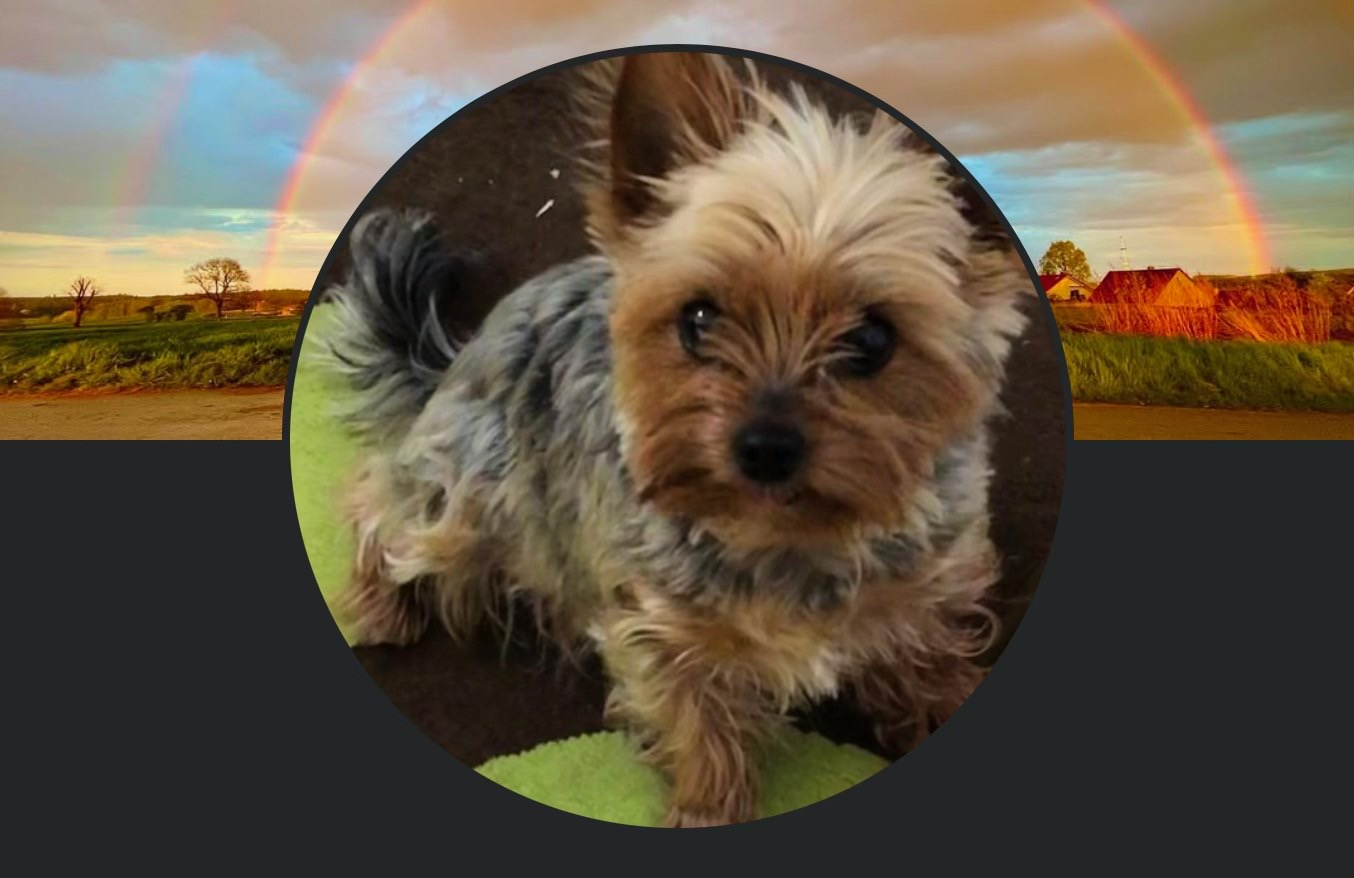 Nusha_Rainbowbridge_2025-05-24.png