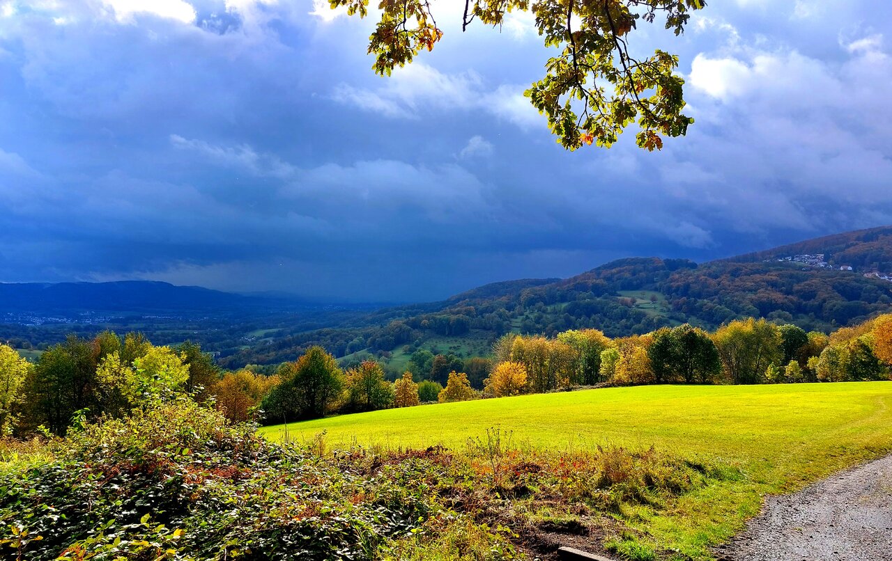 odenwald.jpg
