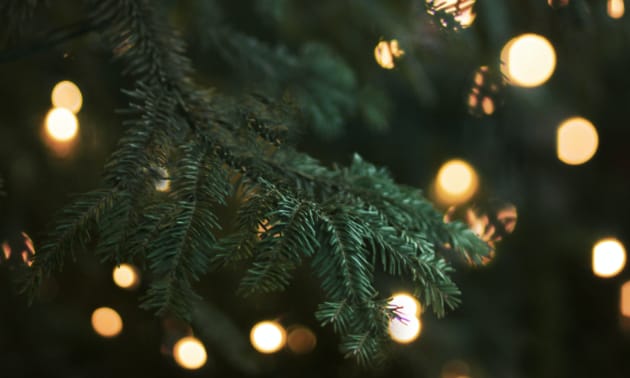 Oh_Tannenbaum.jpg