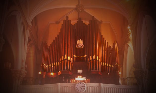 organ_REC.jpg