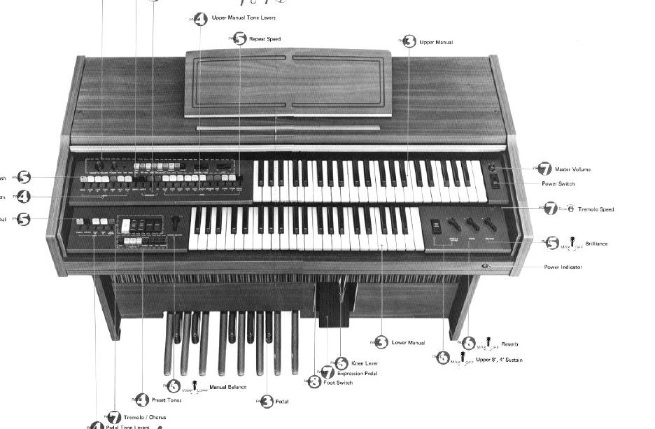 orgel.JPG
