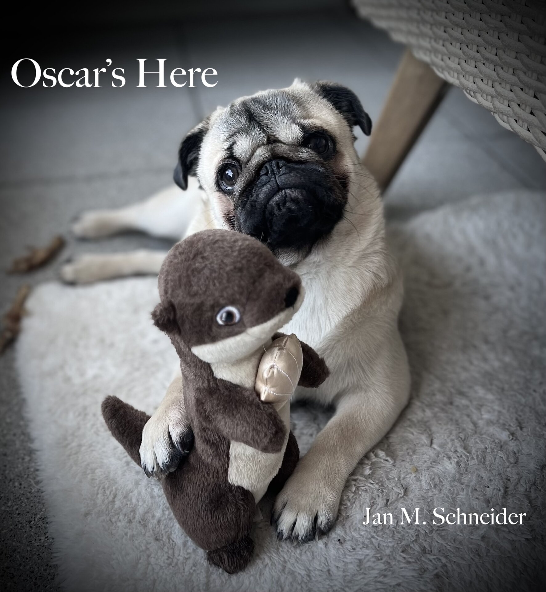 Oscar's Here.jpeg