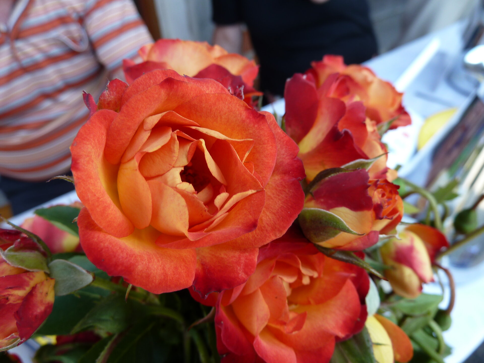 P1000024.JPG