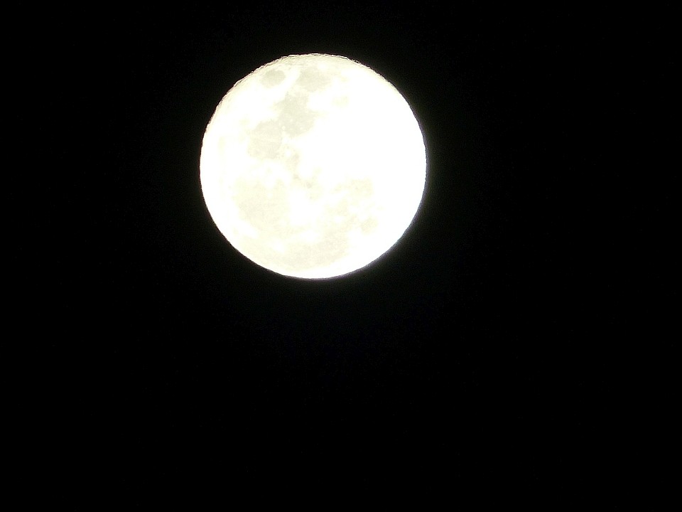 P1000069.JPG