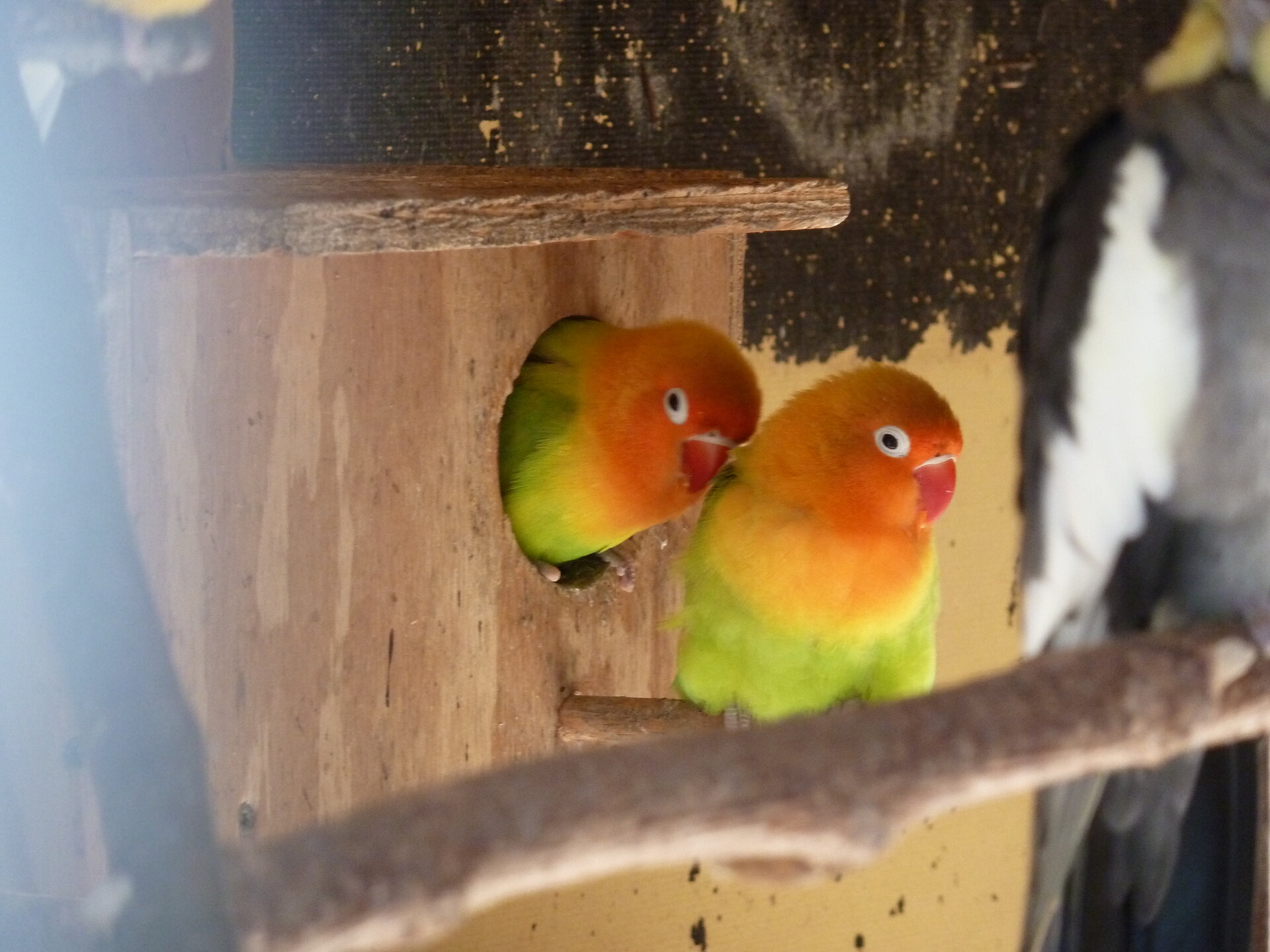 P1000544.JPG