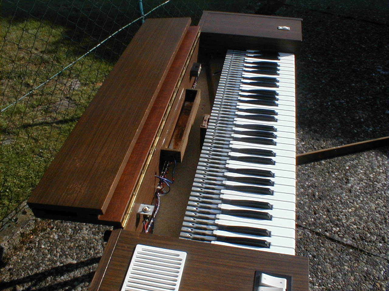 P1010003.JPG