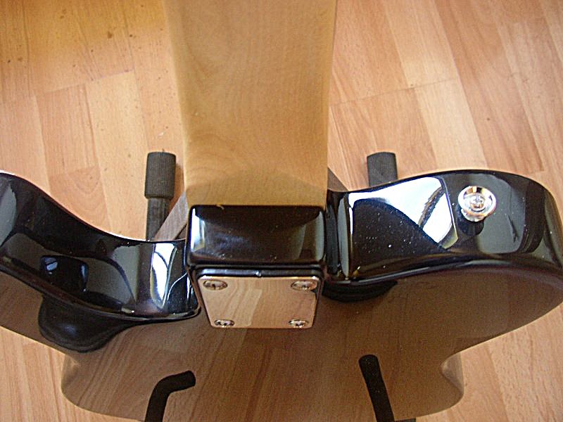 P1010006.JPG