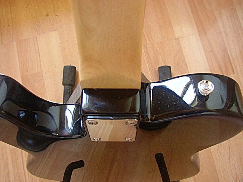 P1010006.JPG