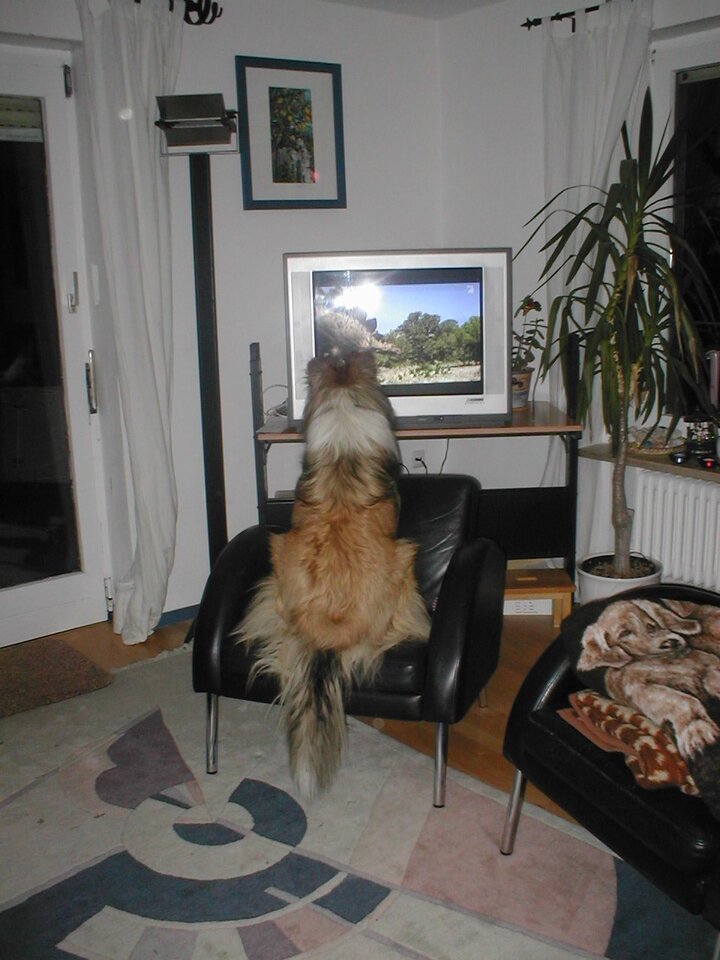 P1010023.JPG