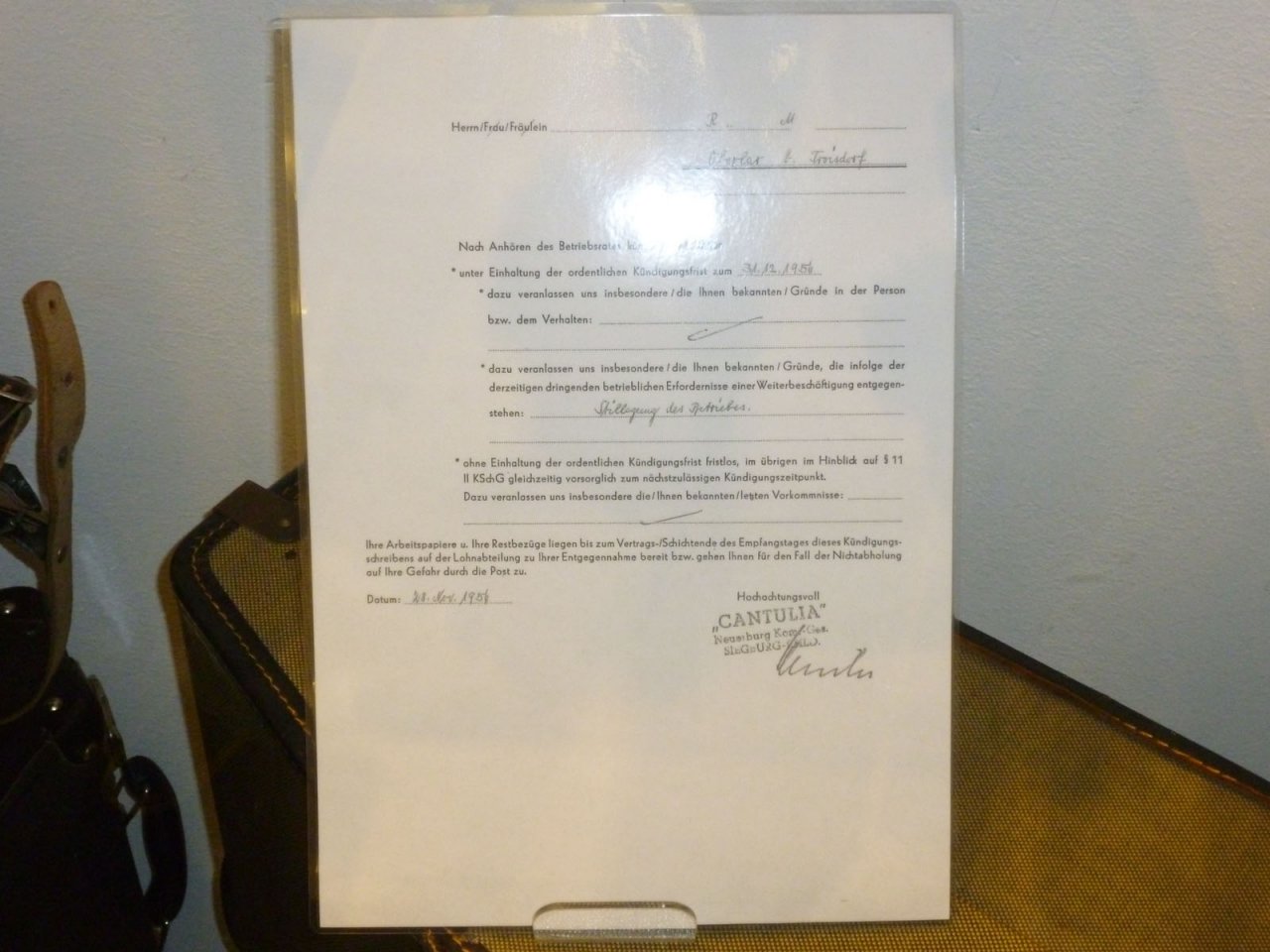 P1010082.JPG