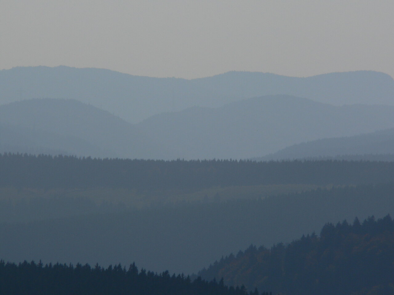 P1010367.JPG