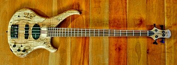 P1020176-small.JPG