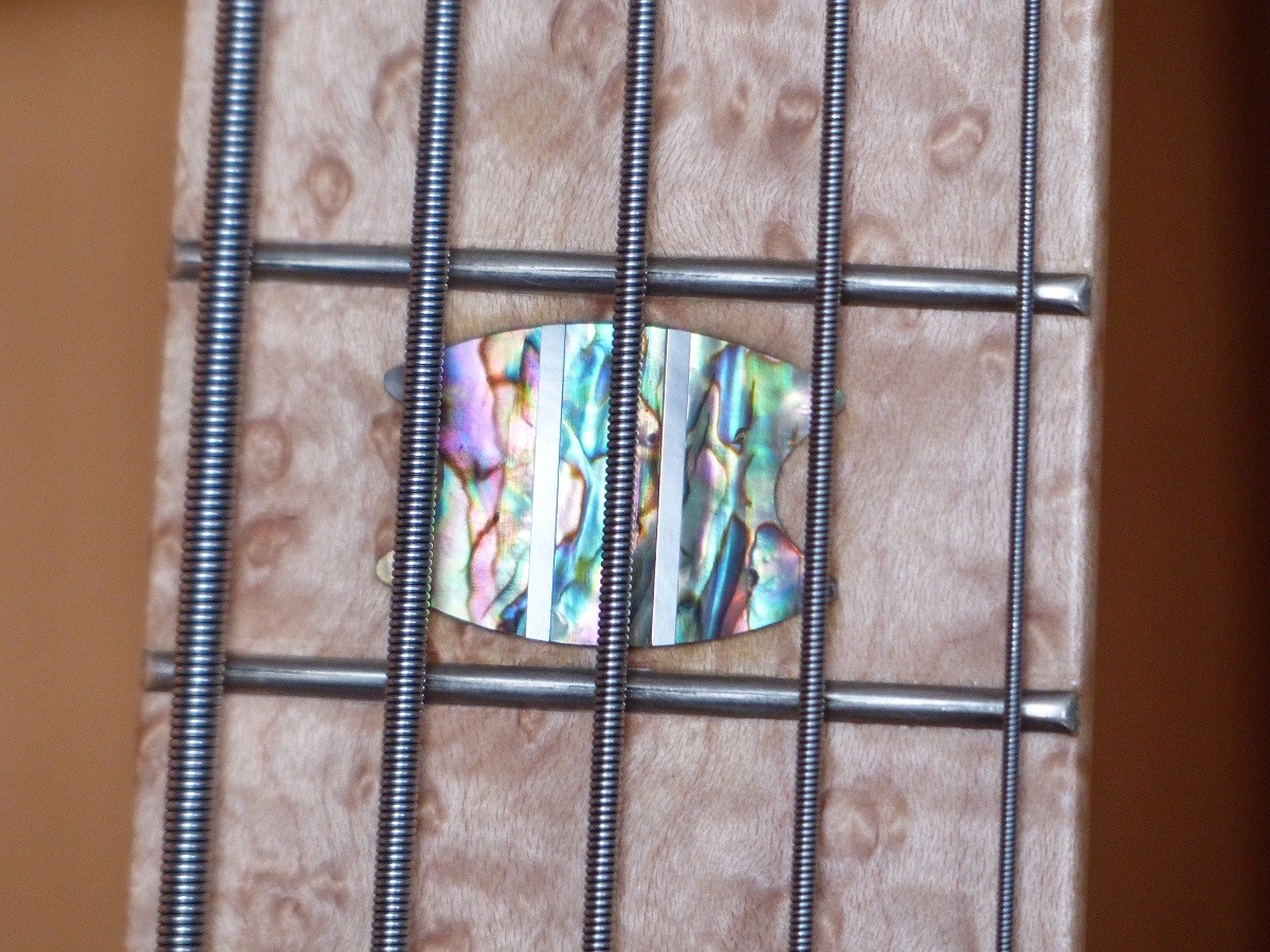 P1040741small.jpg