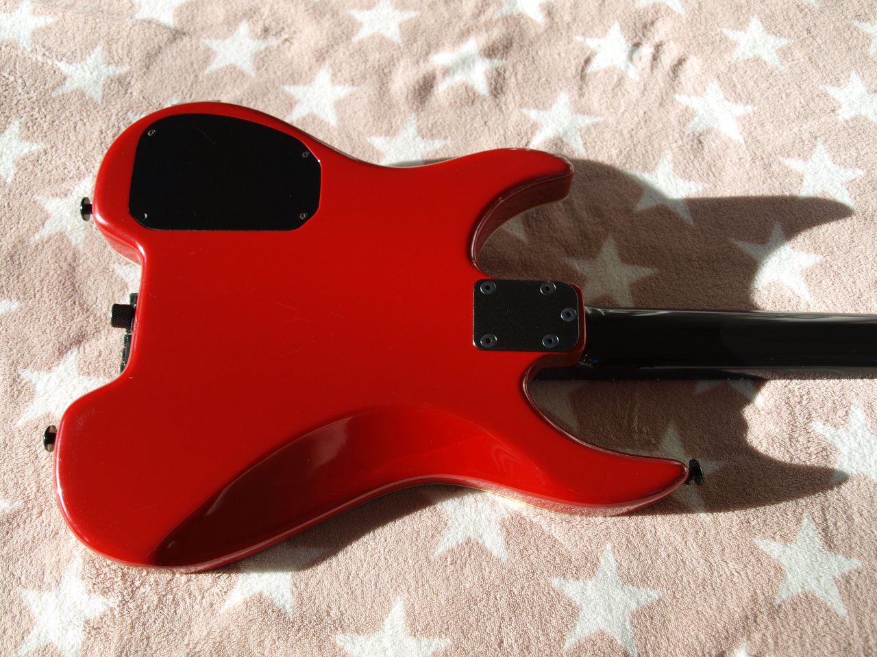 P1084241.JPG