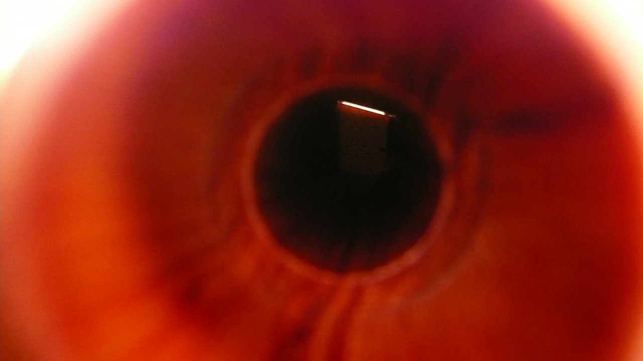 P1100056.JPG