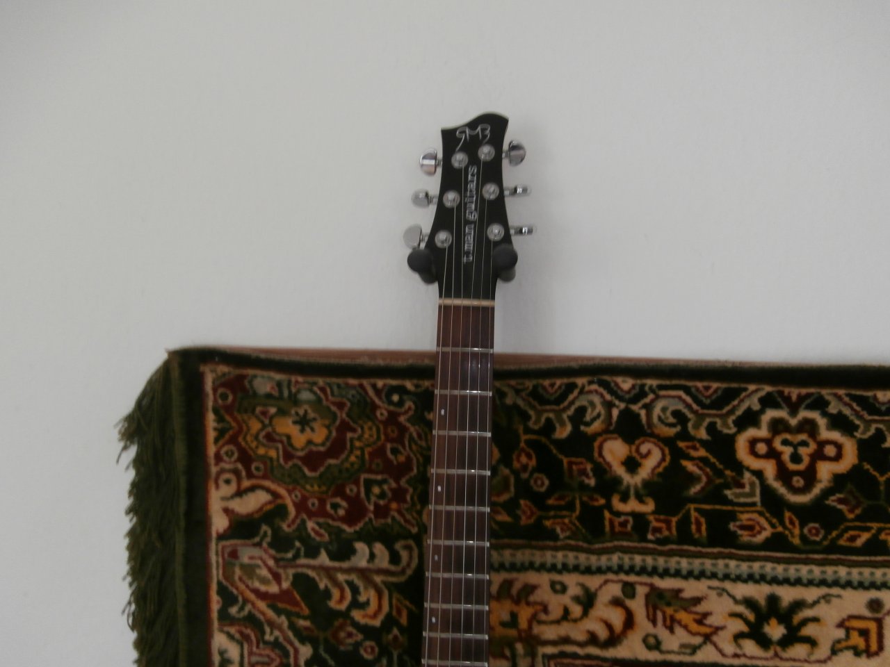 P3150020.JPG