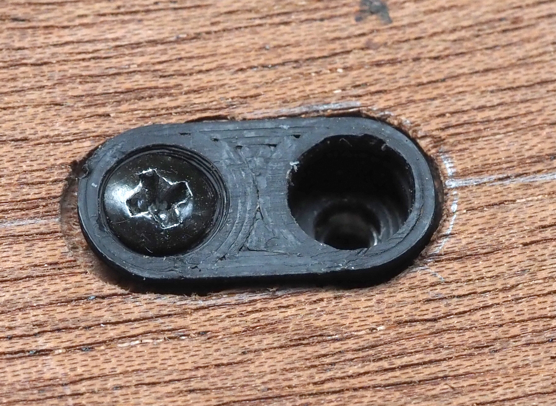 P7206337_2.jpg